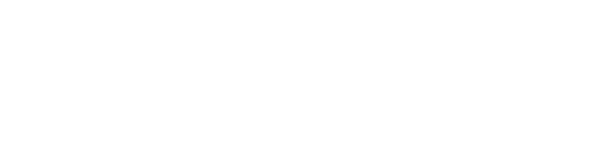 Magnolia - Nachhaltig Wohnen in Völkermarkt, Kärnten